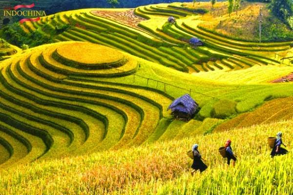 http://viajeindochina.com/