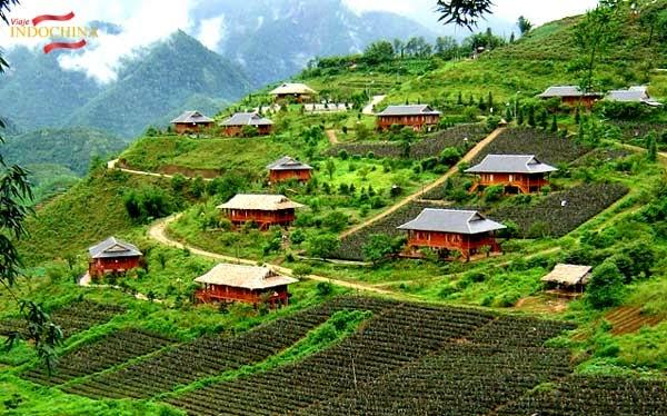 Sapa