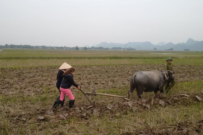Vacaciones Vietnam con niños