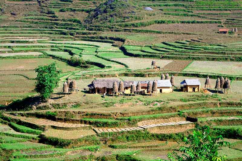 Terrazas de arroz en Ha Giang Vacaciones