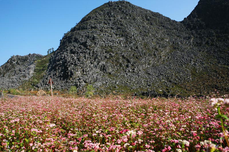 La meseta Dong Van Karst, Ha Giang