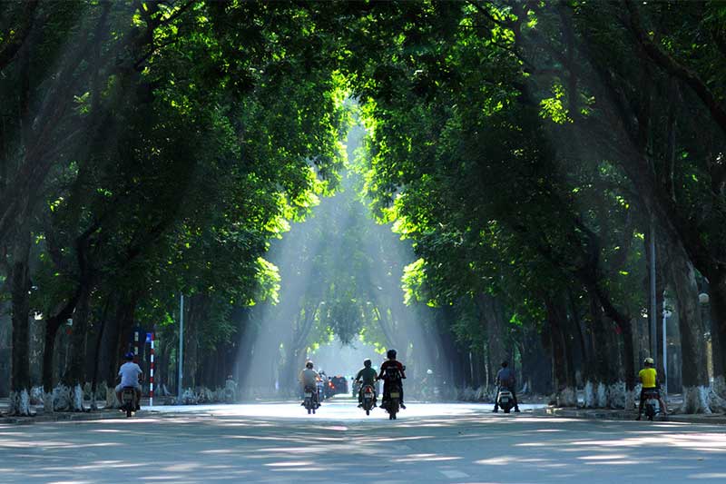 El sur y el norte de Vietnam tienen estaciones distintas