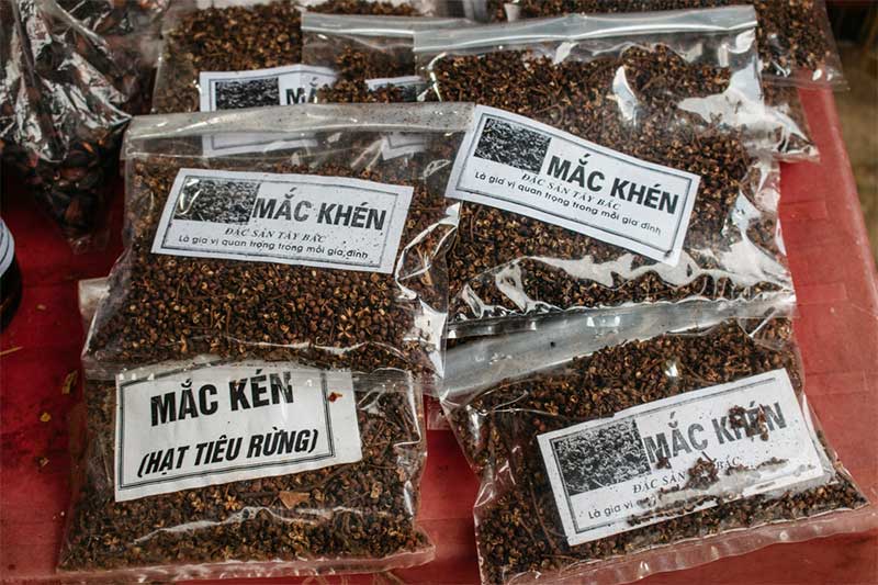 Sapa Hierbas medicinales secas