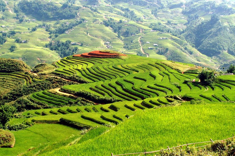 Viajes a Valle de Muong Hoa en Sapa