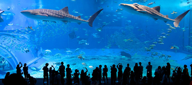 Museo Oceanográfico Nacional - Nha Trang