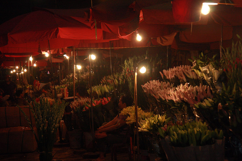 Descubrir Vietnam