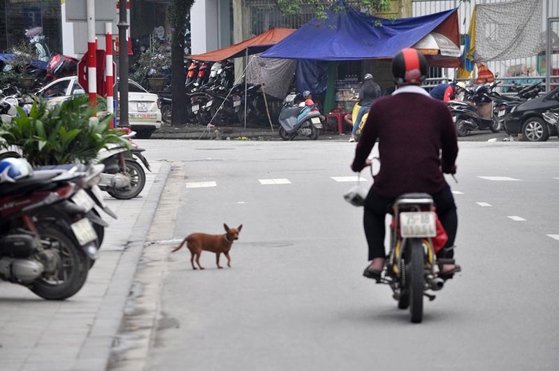 Viajar a Vietnam - Callejeros en Hanoi