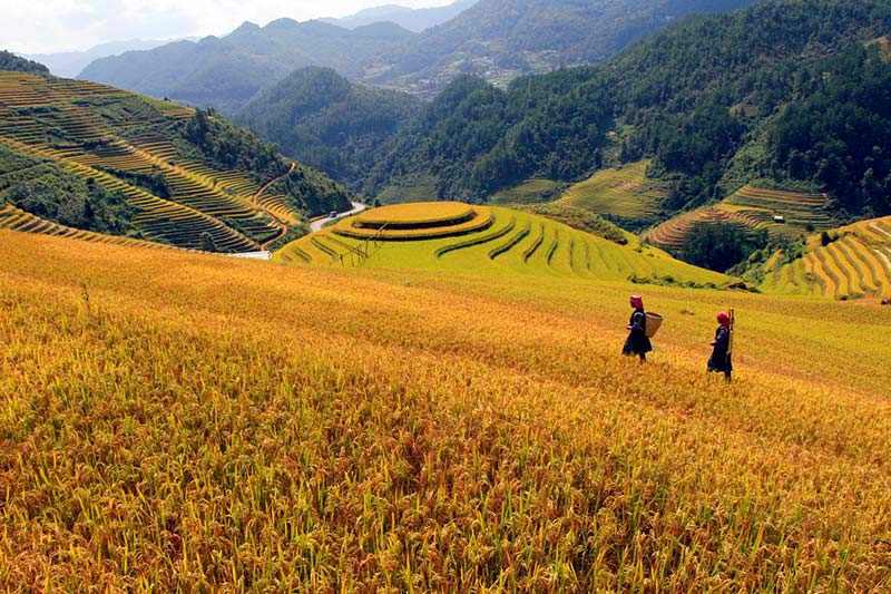 Visitar a Vietnam en Sapa