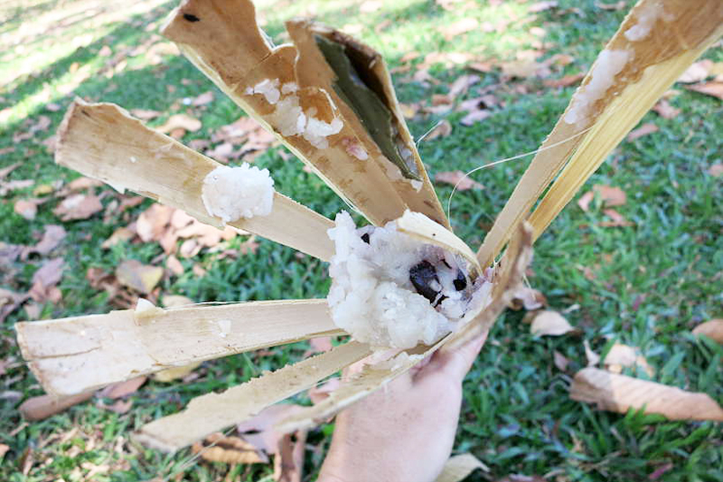 Arroz pegajoso de bambu - Viagens para Camboja