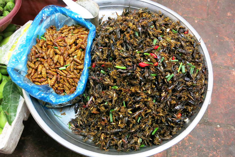 Minhocas e grilos grelhados - Visitar Camboja