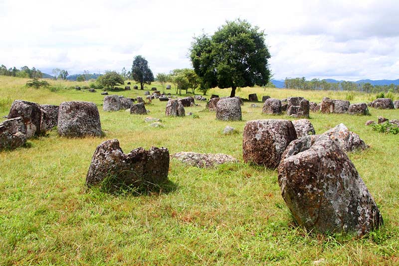 Planície de jarros - Viagem em família Laos