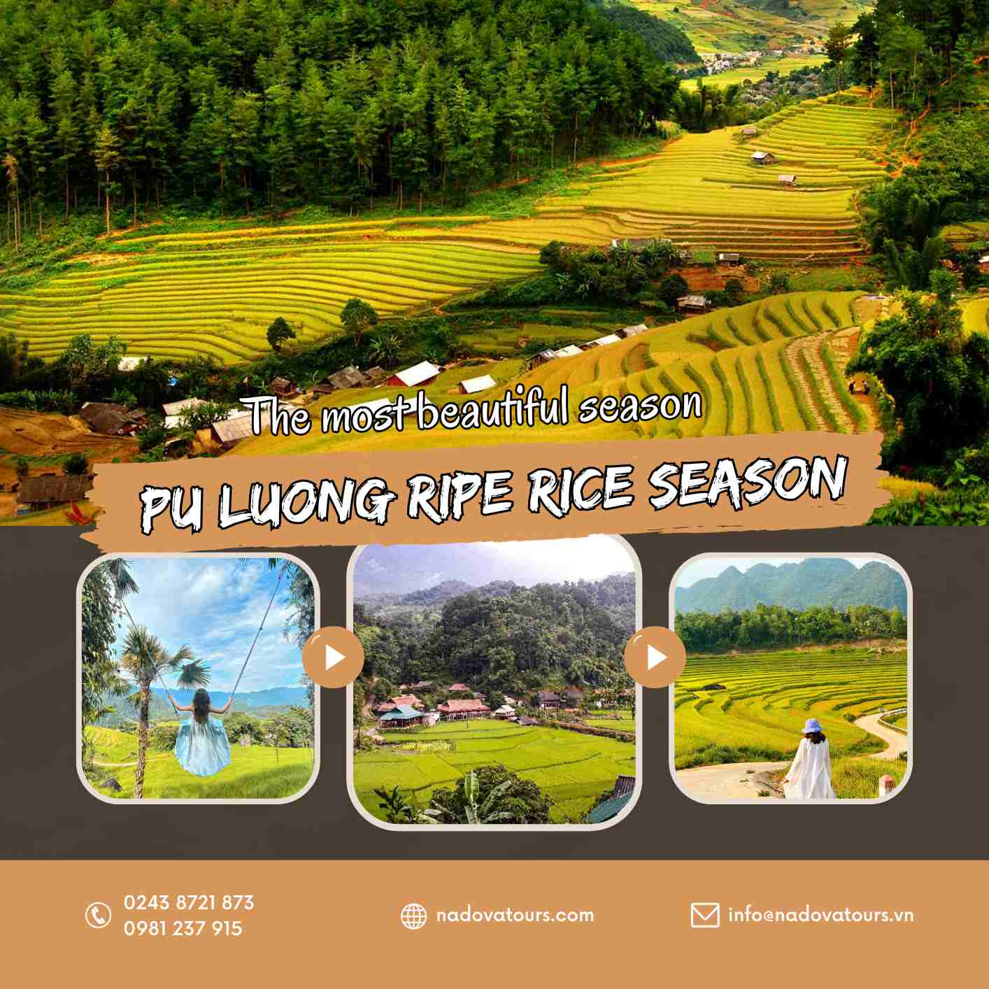 Pu Luong ripe rice season - The most beautiful season