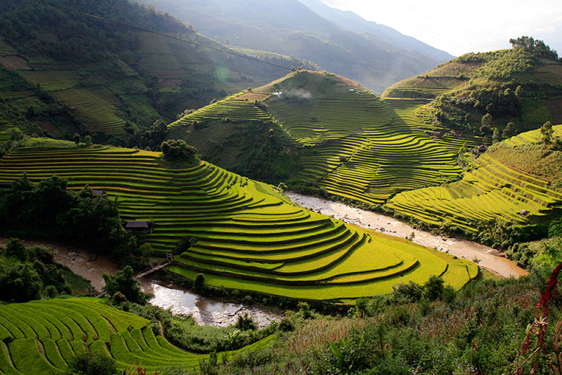 TERRAÇOS DE ARROZ EM SAPA -Viagem Vietname