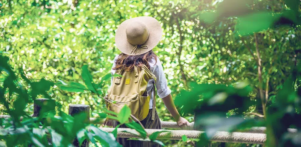 Sustainable & Eco-Friendly Travel